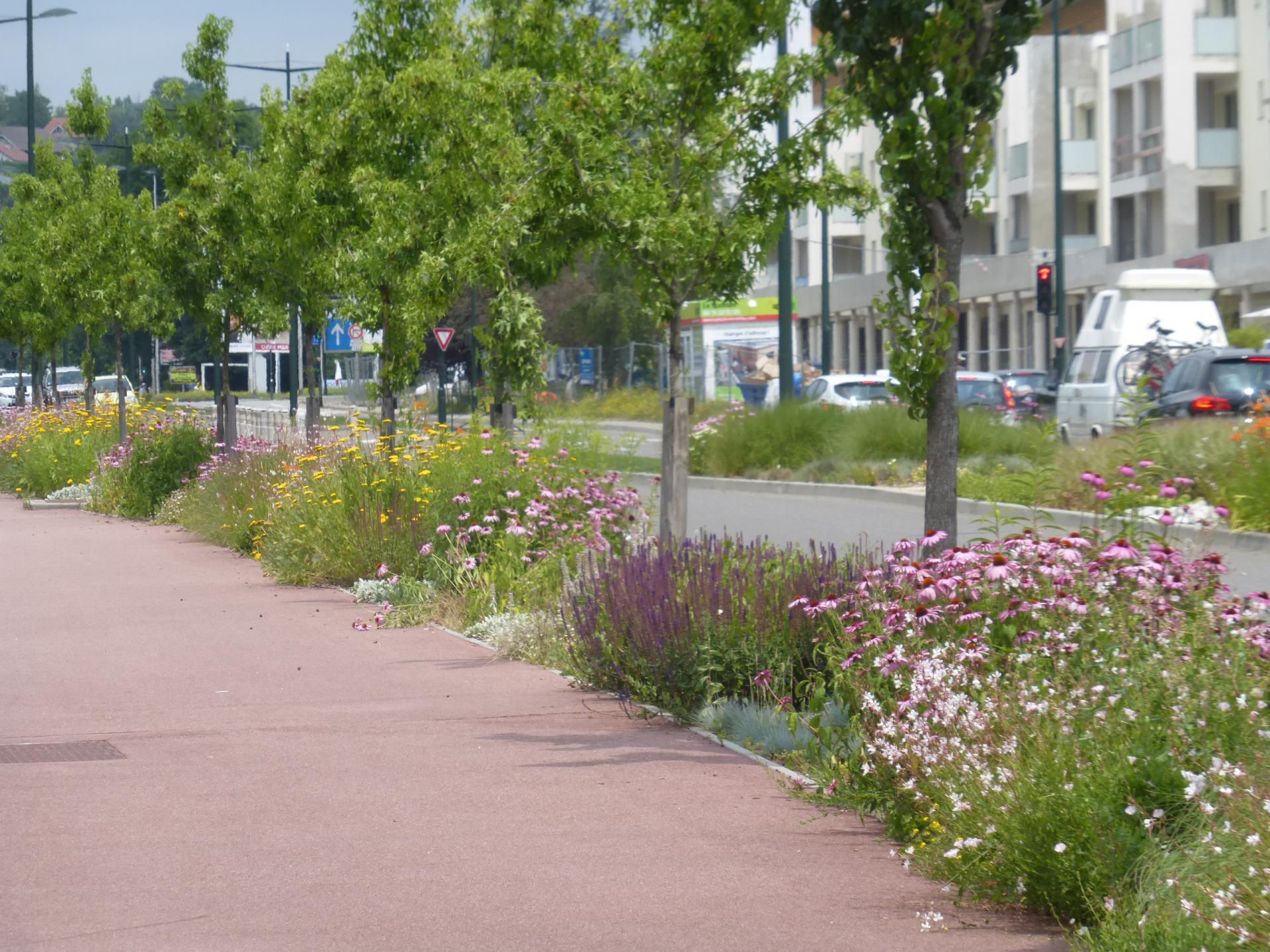 Aménagement d'un quartier d'habitations