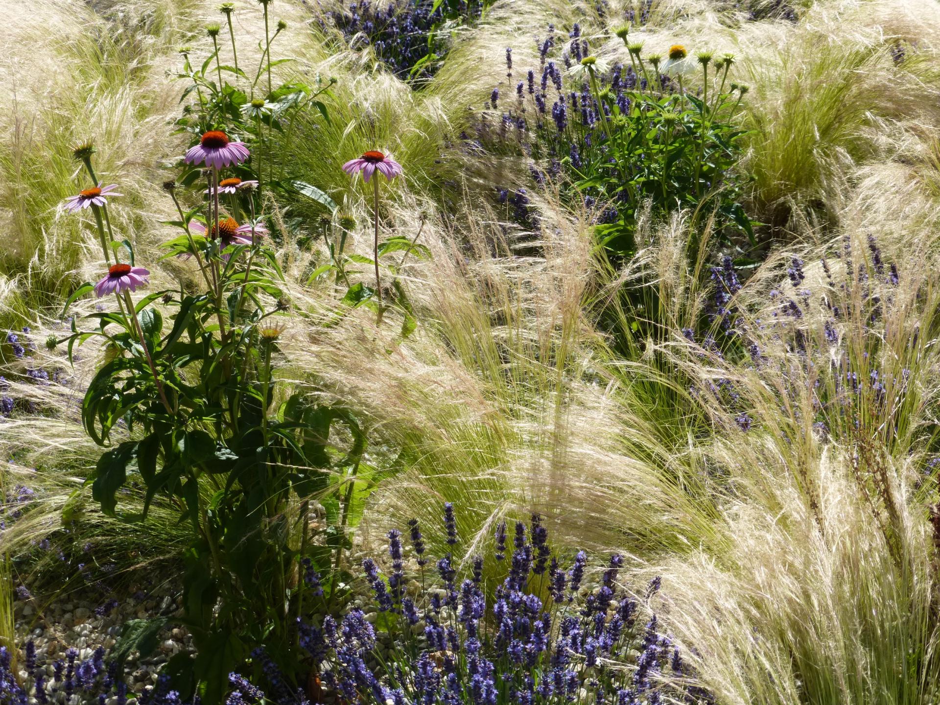 Aménagement paysager : une inspiration nature