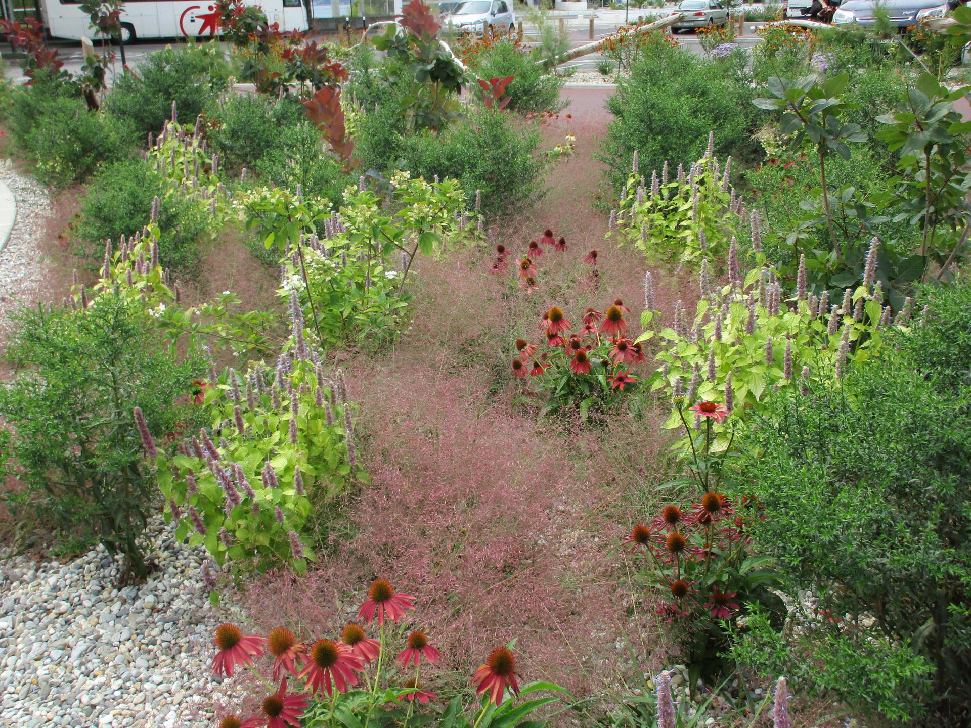 Aménagement paysager : un jardin de graviers