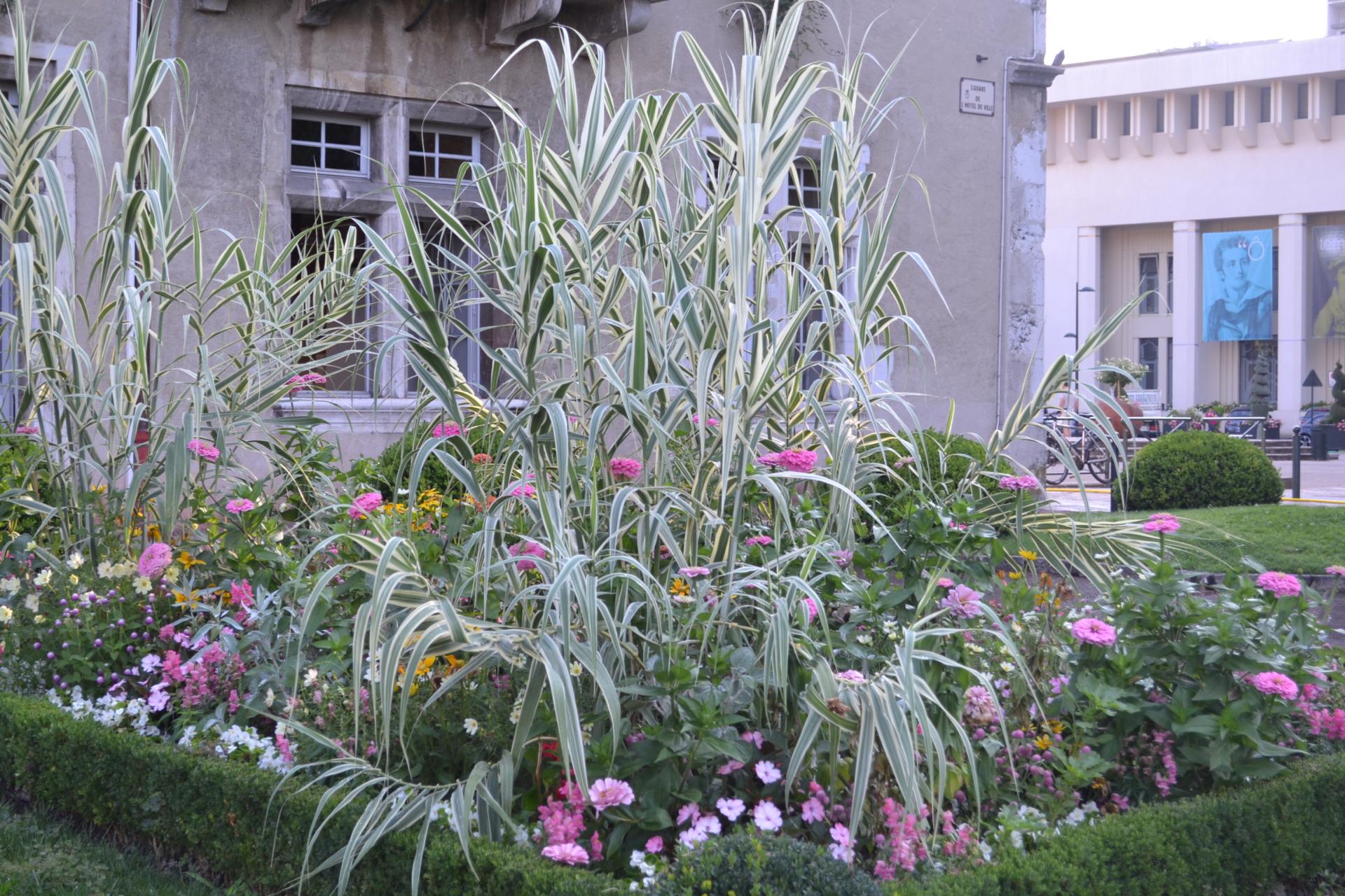 Tons pastels en été